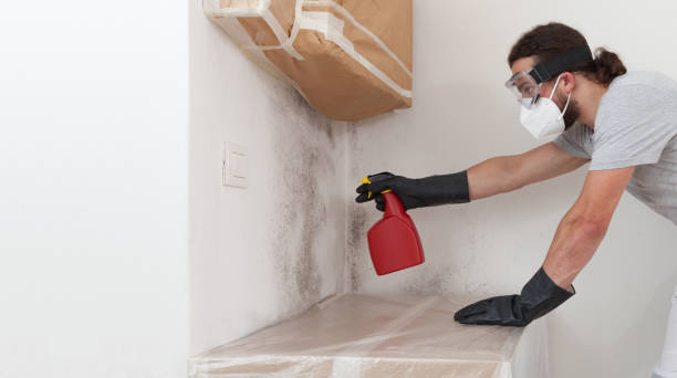 Professional Black Mold Remediation technician working in Bellmore, NY